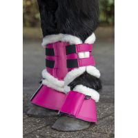 Beschermers -Comfort Shetty-