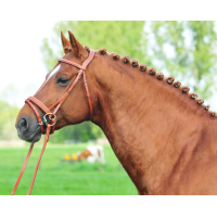 Hoofdstel Linda London full