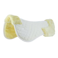 AMORTISSEUR DE DOS RIDING WORLD