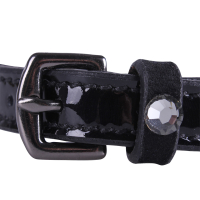 Sporenriempjes Calypso