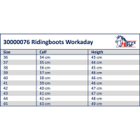 Rijlaars WorkaDay mt36