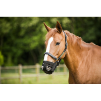 NORTON MAULKORB / GRASMASKE