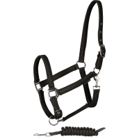 Halfterset Glitter Schwartz