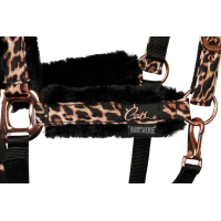 Halfterset Cats Full