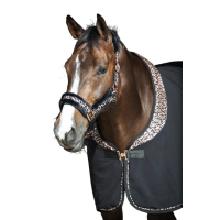 Halfterset Cats Full