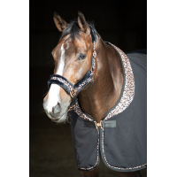 Halfterset Cats Full