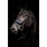 Showtime Evalira Zwart/Zwart