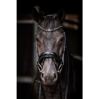 Showtime Evalira Zwart/Zwart