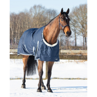 Brustbeschützer Ontario Schwartz