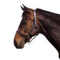 APOLLO First Leather