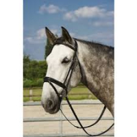 AFTER RIDING Polo hoofdstel