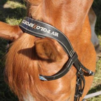 AFTER RIDING Polo hoofdstel