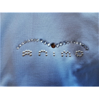 Animo Beckham Polo Blitz