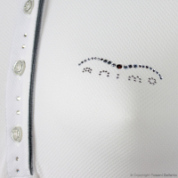 Animo Brooke Polo Competition