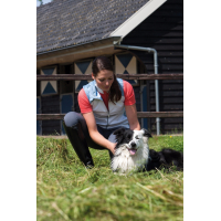 BR soft shell dames bodywarmer Jacksonville