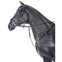 BR Stratford voortuig