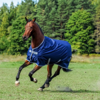 Bucas Freedom Turnout Light 