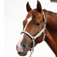 Bucas Halster Dublin 2Color