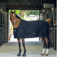 Bucas Shamrock Power Classic