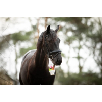 Deep Ice Gel Bouteille debout/suspendue