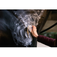 Hi Gloss  Shampoing solide Aloe Vera