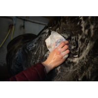 Hi Gloss  Shampoing solide Aloe Vera