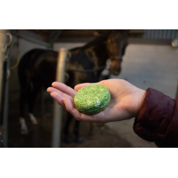 Hi Gloss  Shampoing solide Aloe Vera