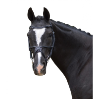 QHP Dionsysos Mexicaans