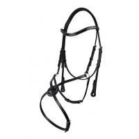 QHP Dionsysos Mexicaans