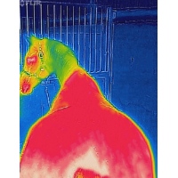 Bucas Recuptex Therapy Blanket