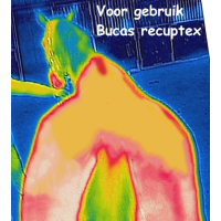 Bucas Recuptex Therapy Blanket