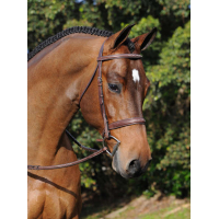 Tekna Hoofdstel Hunter Fancy FULL