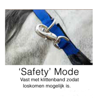 Safety-First Royal Blue