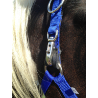 Safety-First Royal Blue