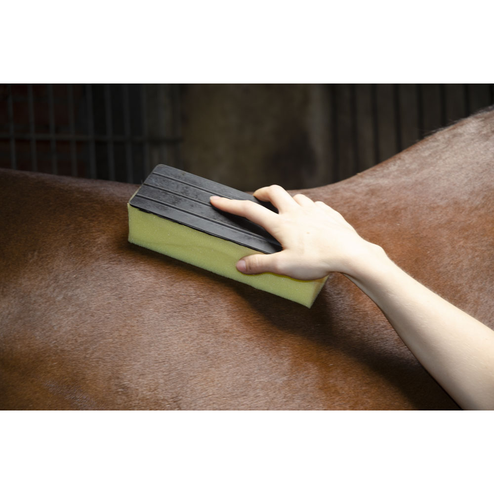 Grande éponge à sueur