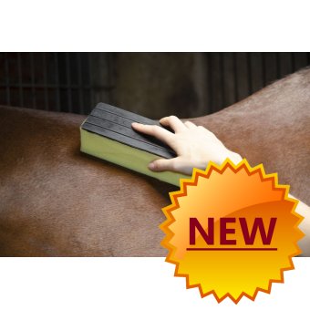 Schweißschwamm groß