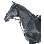 BR Rayleigh Elastisch voortuig