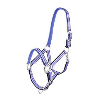 BR Halster Passion pony