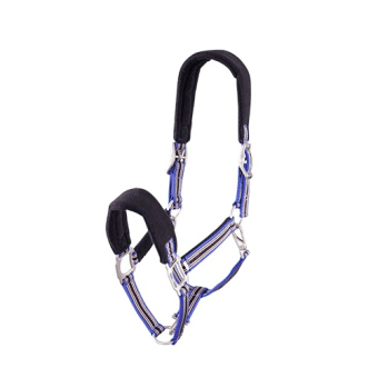 BR Poetshalster Passion pony