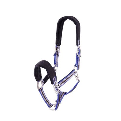 BR Poetshalster Passion pony