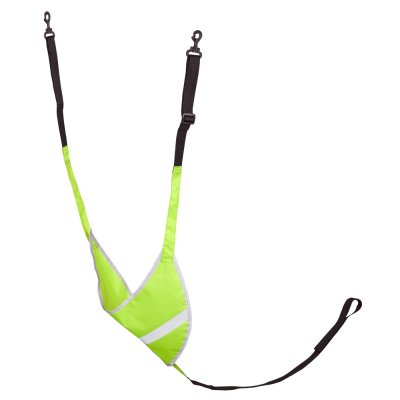 BR reflecterend borsttuig