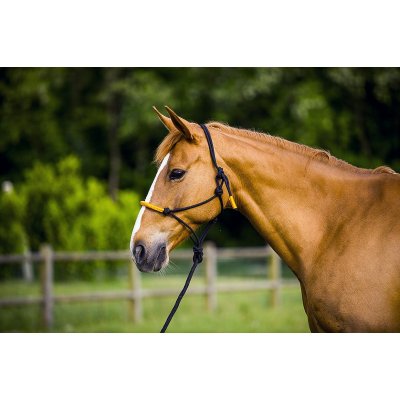 Fun colour Ethologisch halster + halstertouw Oranje PONY