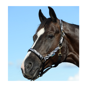 Bucas Halster Zebra