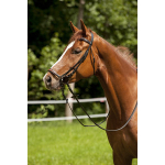 EXCELSIOR Bombé hoofdstel