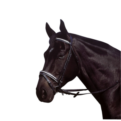 Excelsior Hoofdstel gevlochten