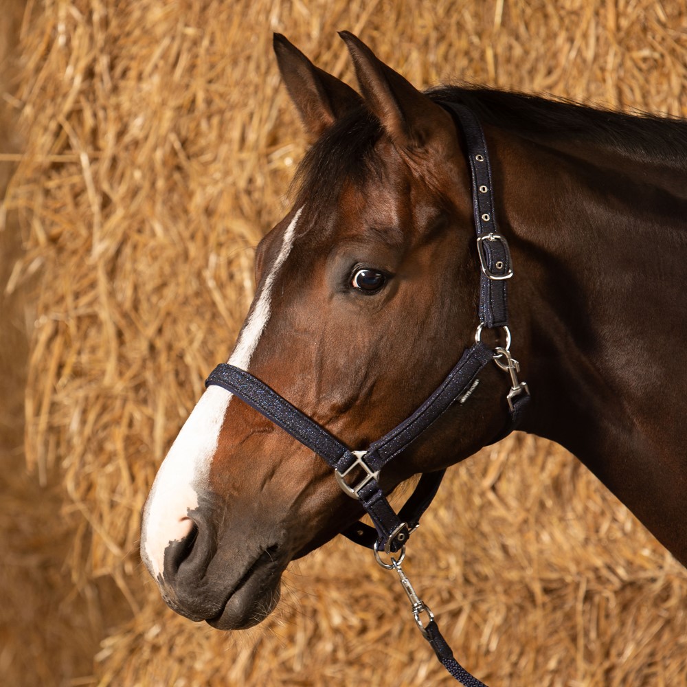 Halsterset Glitter Navy FULL