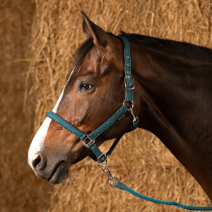 Halfterset Glitter Teal