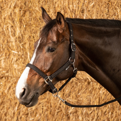 Halsterset Glitter Zwart