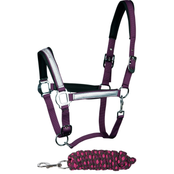 Licol et longe Glitter Shetland Gloxinia