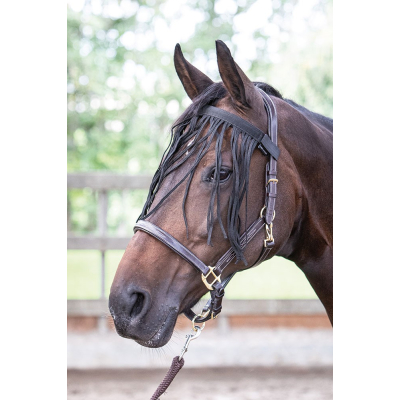 HH Vliegenfrontriem zwart COB